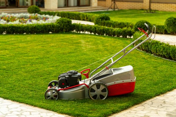 Business Grass Cutting