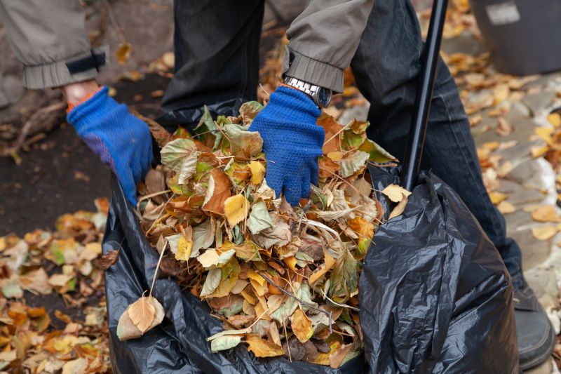Cleaning Up Fall Leaves