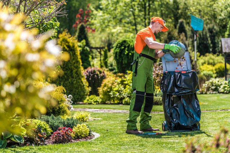 Professional Fall Lawn Care