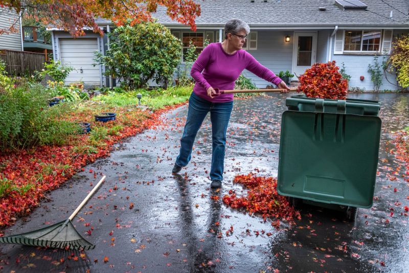 Removing Fall Leaves