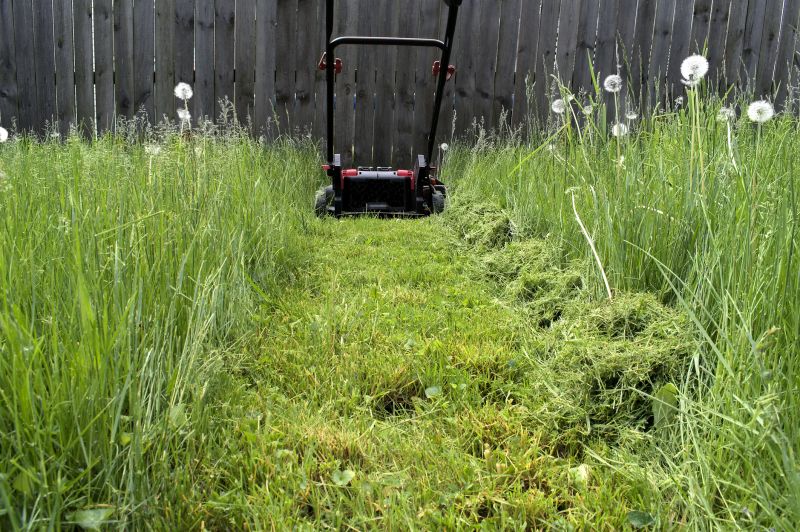 Grass Clipping Removal
